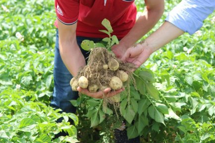 Открытие нового картофелехранилища Агрико Украина