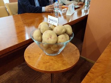 Мастер-класс по выращиванию картофеля (Луцк 22 октября 2015г.)