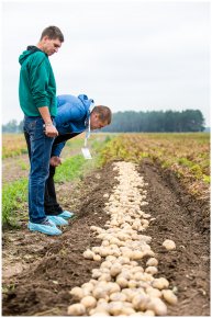 Уроки майстерності для картоплярів