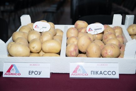 III Національний День Картоплі