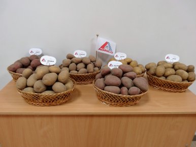 Майстер-клас з вирощування картоплі (Дніпропетровськ 24 лютого 2016р.)