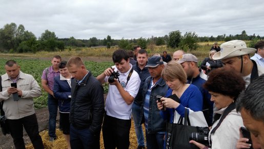 Посетить День поля в Немишаево: выполнено!