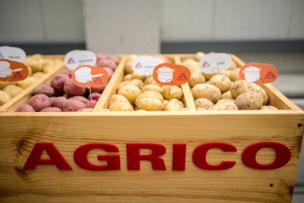 Агрико Украина получила награду за Картофельное событие года