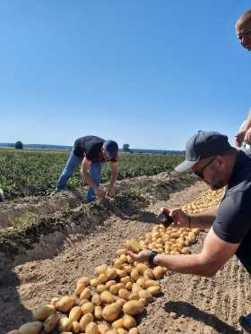 День поля для картоплярів Чернігівщини
